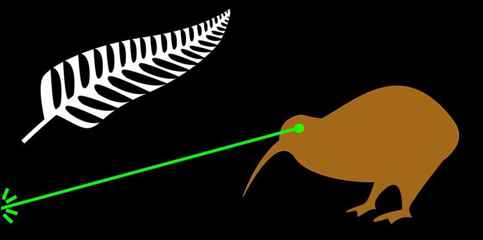 Lucy Gray’s ‘Fire the Lazer’ (Laser Kiwi) flag, designed for the flag referendum.