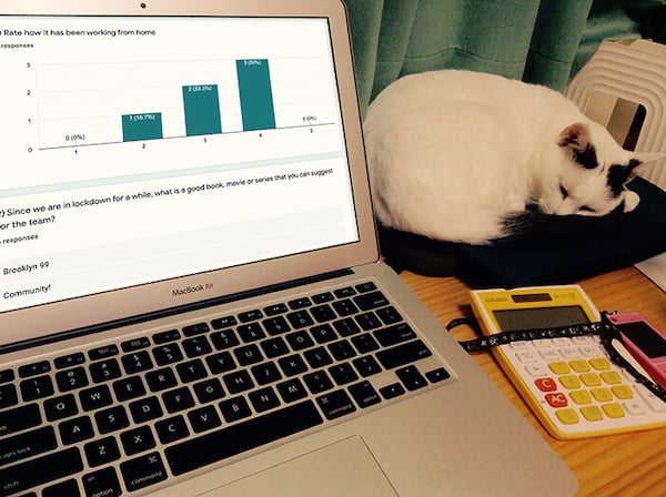 Cat sleeping on desk during a Google Forms remote retro