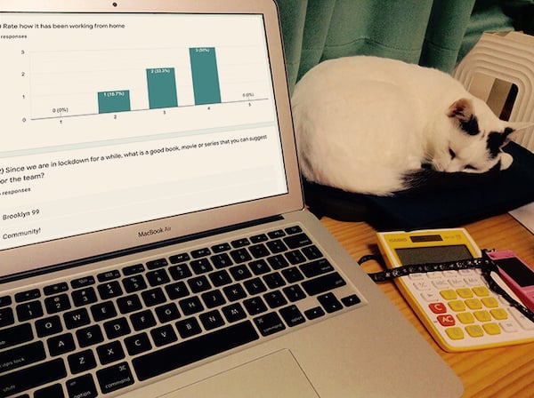 Running a Google Forms remote retro (with help form a cat)